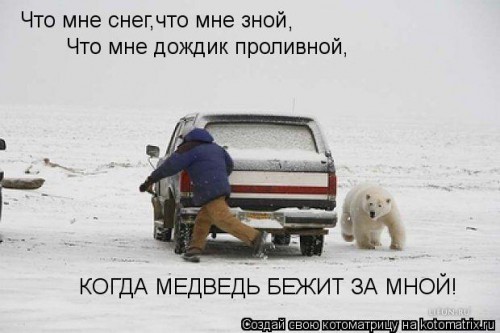 kotomatritsa_7j.jpg