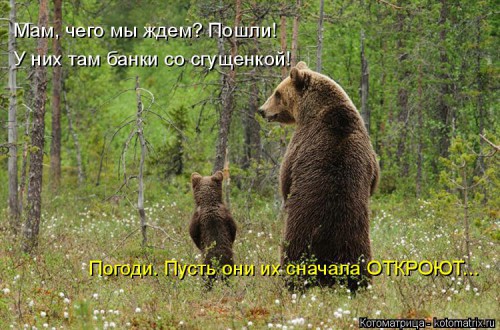 kotomatritsa_Pe.jpg