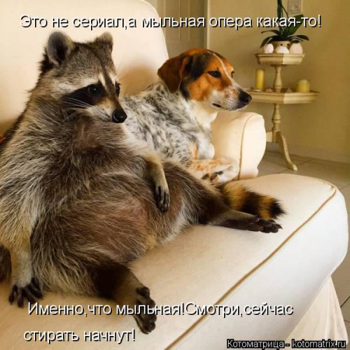 kotomatritsa_RA.jpg