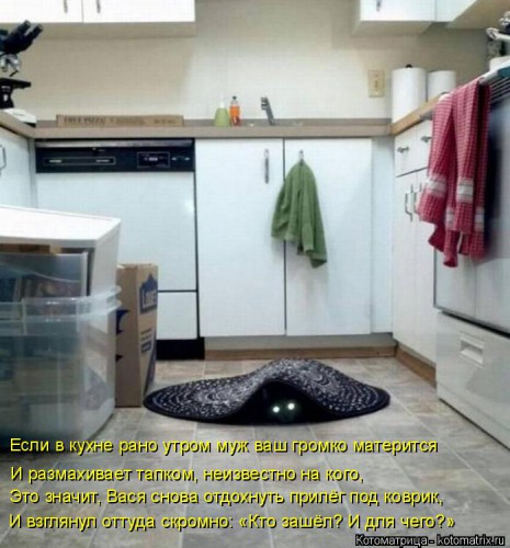 kotomatritsa_Ob.jpg