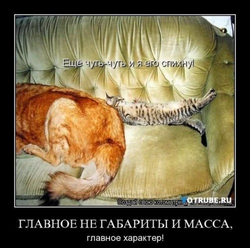 характер[1].jpg