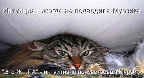 493257[1].jpg
