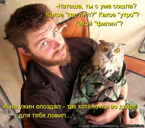 kotomatritsa_c8.jpg