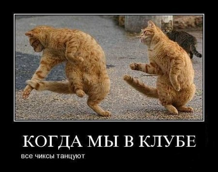 1323448627_image-410.jpg