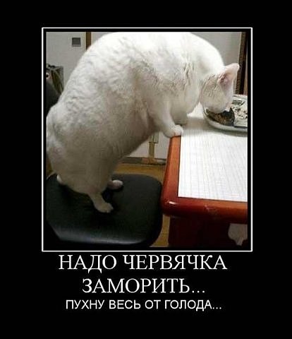 56e6c87adb98.jpg