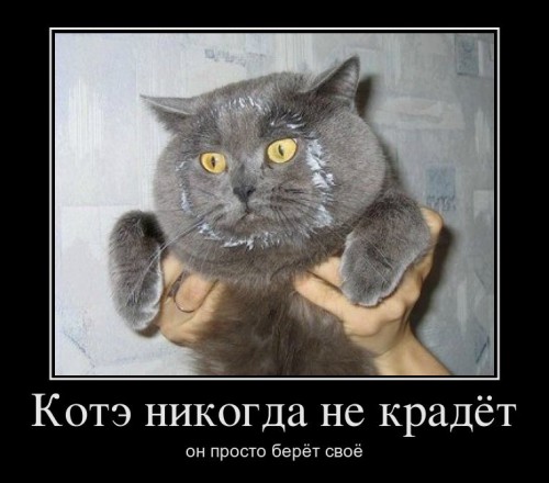 f783e03a-41c8-4ede-91a9-2aed1487fc10.jpg
