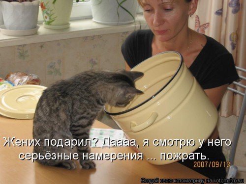 1153888.jpg