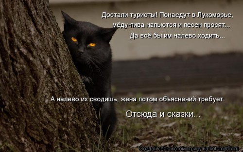 e47c8201f7.jpg