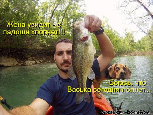 kotomatritsa_aK.jpg