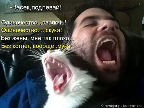 kotomatritsa_al.jpg