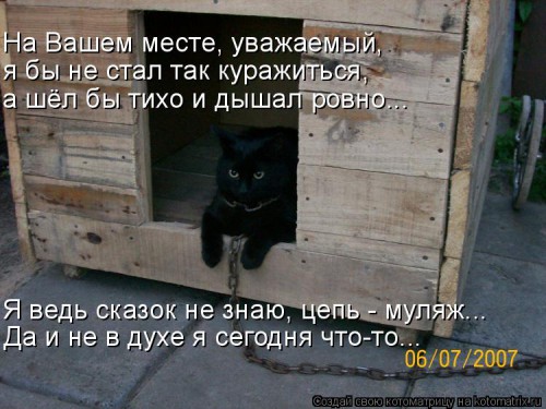 583867.jpg