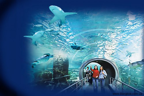 siam_ocean_world.jpg