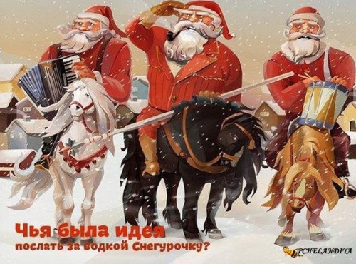 1411408568_prikoli-noviy-god2.jpg