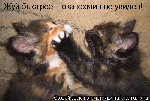160135_288764.jpg