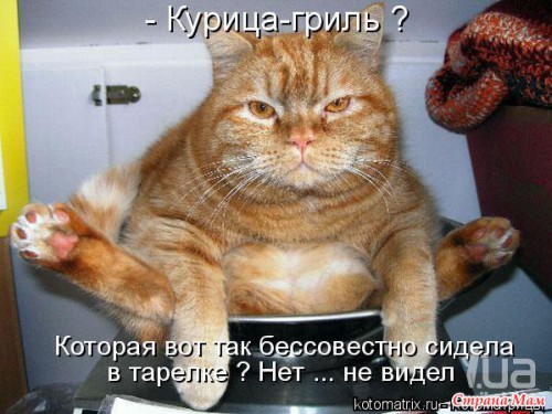 7974706_53774.jpg