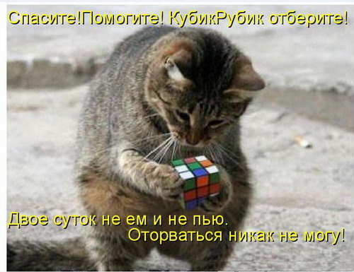 1234286748_1232367592_c_6.jpg