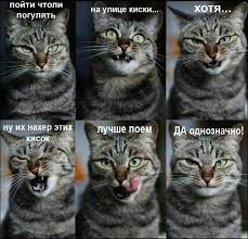images1L15APDB.jpg