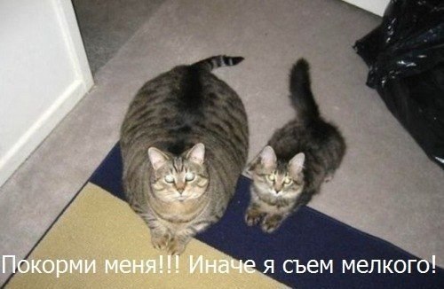 O1AINDvVnr0.jpg