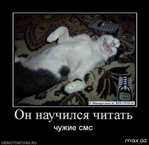 2590_1000.jpg