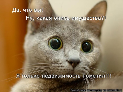 0_23f4f_3c777d6c_L.jpg