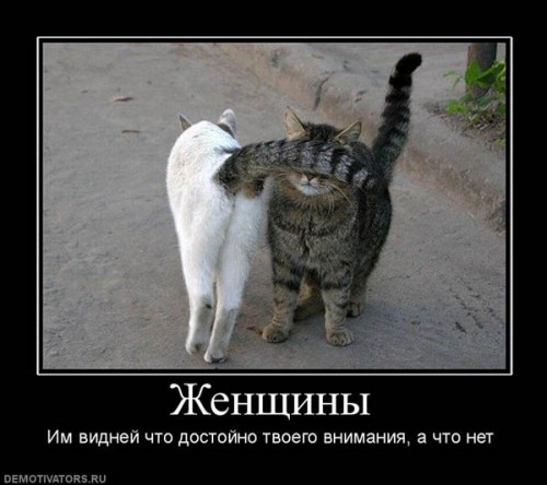 124569_zhenschinyi.jpg