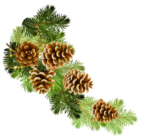 0_73d7d_882684e4_L.png