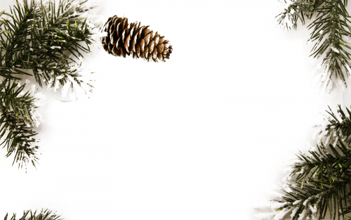 0_94b96_639102d9_XL.png