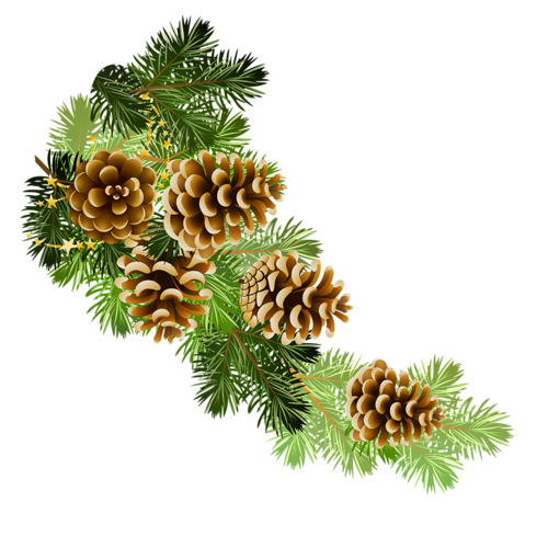 0_7430c_60959e8e_L.png