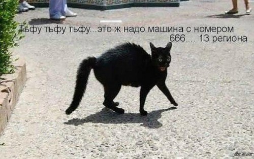 1372527951_5166454.jpg