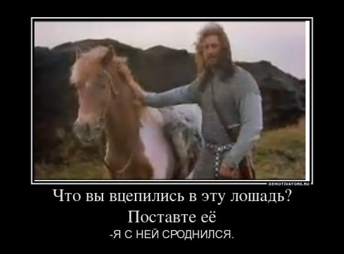 944579_chto-vyi-vtsepilis-v-etu-loshadpostavte-eyo_demotivators_ru[1].jpg