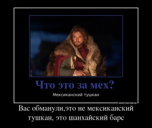 838088_vas-obmanulieto-ne-meksikanskij-tushkan-eto-shanhajskij-bars_demotivators_ru[1].jpg