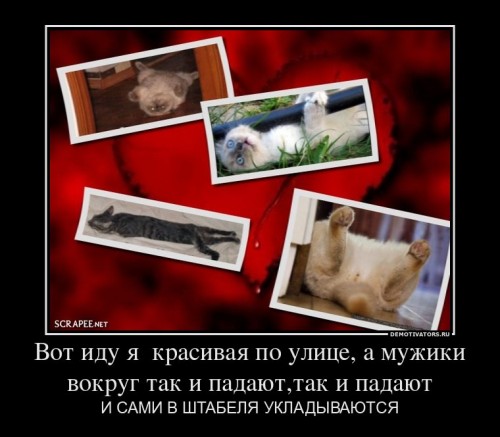 Б О Н У С)))))