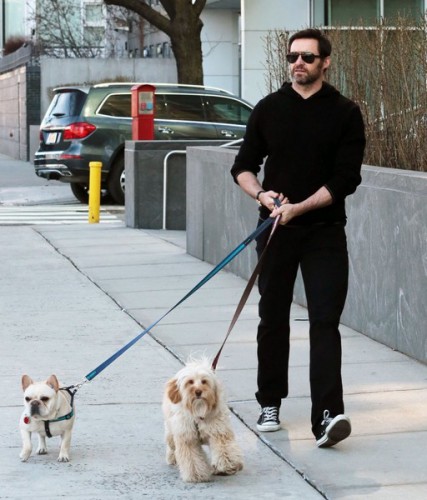 Hugh+Jackman+Hugh+Jackman+Walks+Dogs+NYC+JH9Bk2R8o_ll.jpg