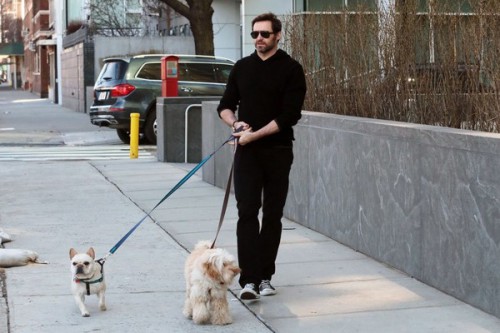 Hugh+Jackman+Hugh+Jackman+Walks+Dogs+NYC+xhTPHkknV7cl.jpg