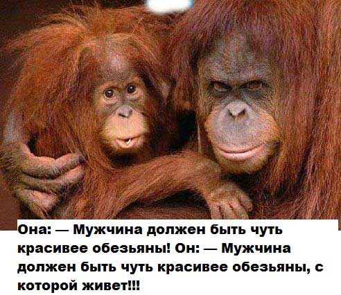 smeshnye_foto_prikoly_s_prikolnymi_nadpisyami_1.jpg