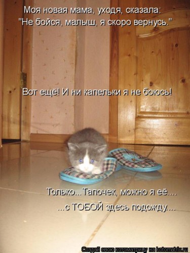 707632.jpg