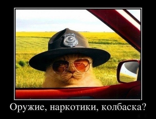 x_b6a33c71.jpg