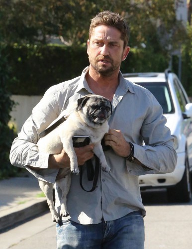 gerard-butler-in-west-hollywood-california-_2.jpg