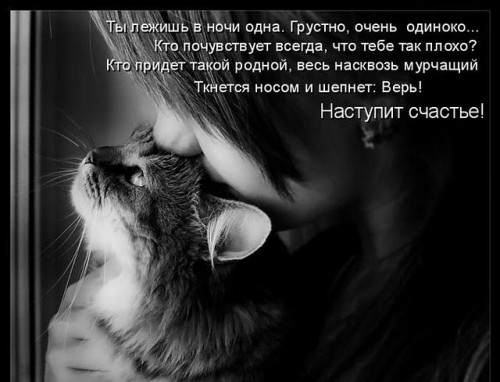 79769729_kotomatrix_27[1].jpg