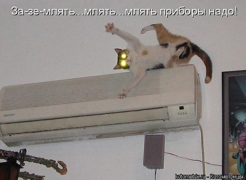 ru1.jpg