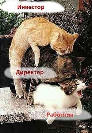ru3.jpg