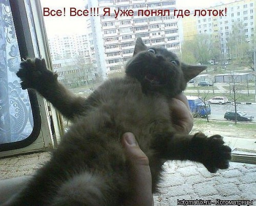 ru5.jpg