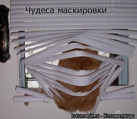 ru6.jpg
