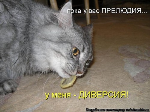 ru9.jpg