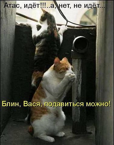 ru10.jpg