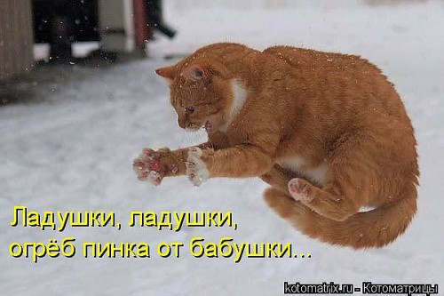 ru11.jpg