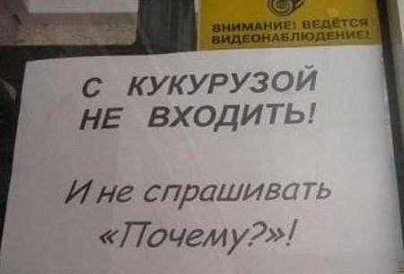 x_79b51d55.jpg