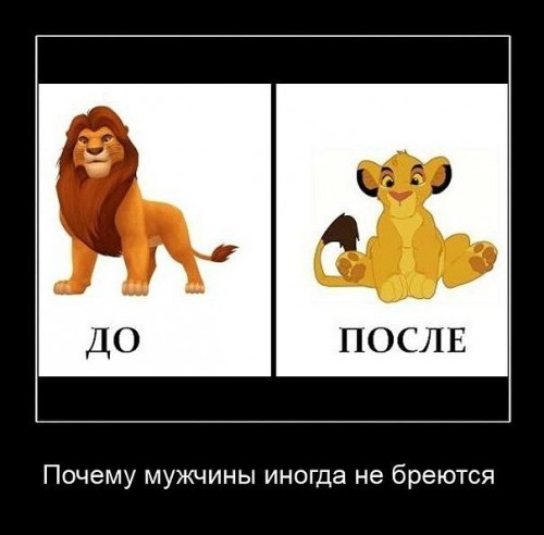 x_1abc80f7.jpg