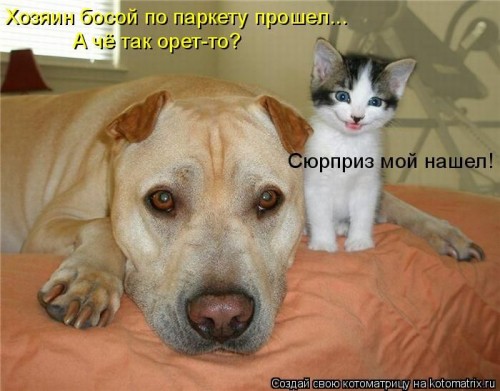 83755008_1308901000_kotomatrix_44[1].jpg