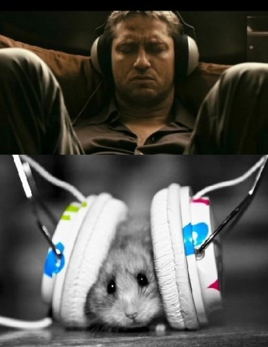 Х16.jpg